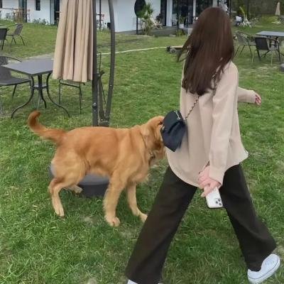 车轴